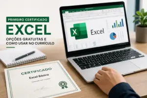 Pessoa usando Excel com certificado de Excel Básico no desktop